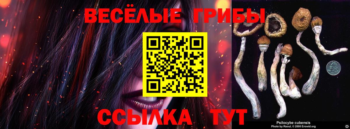 Псилоцибиновые грибы Cubensis Гуково